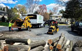 Best Tree Risk Assessment  in Hunter, OH